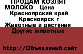 ПРОДАМ КОЗЛЯТ, МОЛОКО › Цена ­ 8 000 - Красноярский край, Красноярск г. Животные и растения » Другие животные   